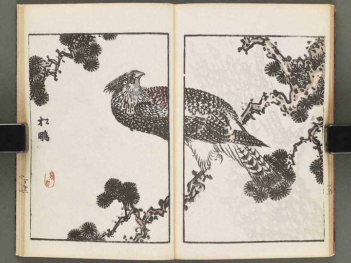 Dokushu mohitsuga tehon Volume 1 by Utagawa-school / BJ290-269