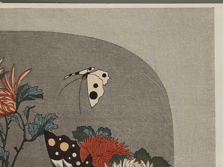 Kiku ni cho by Utagawa Hiroshige, (Large print size) / BJ324-737