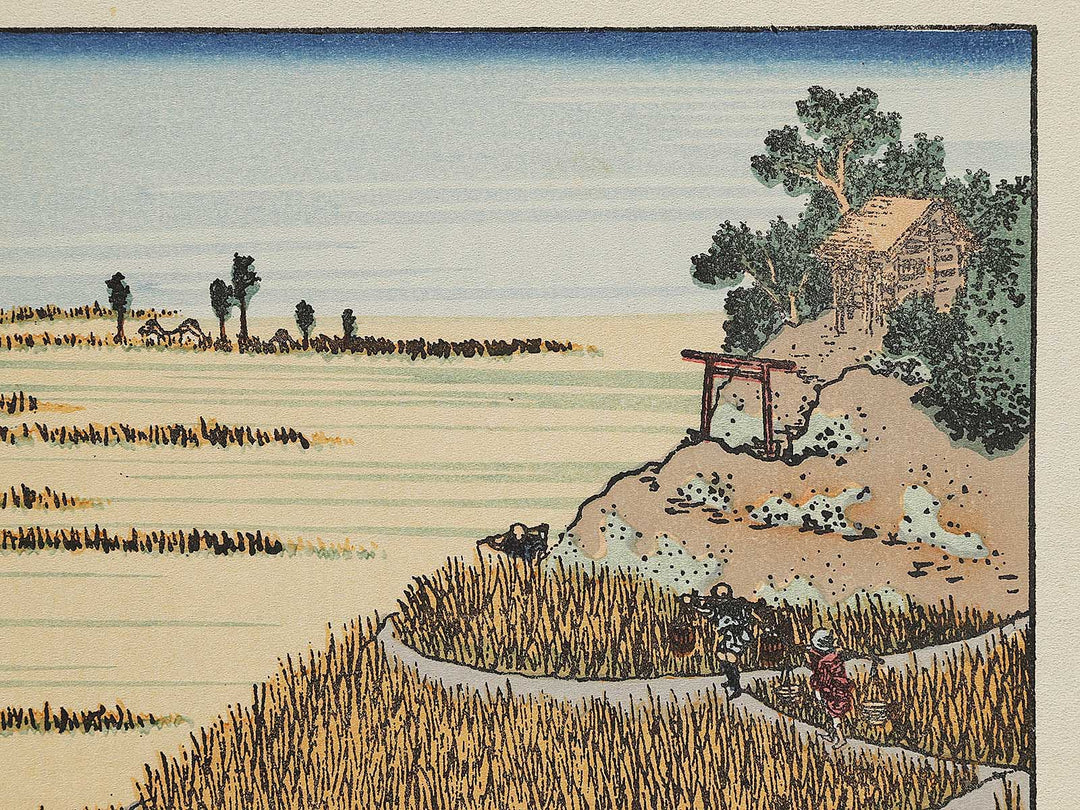 Hosaku no fuji from the series One Hundred Views of Mount Fuji by Katsushika Hokusai, (Medium print size) / BJ321-685