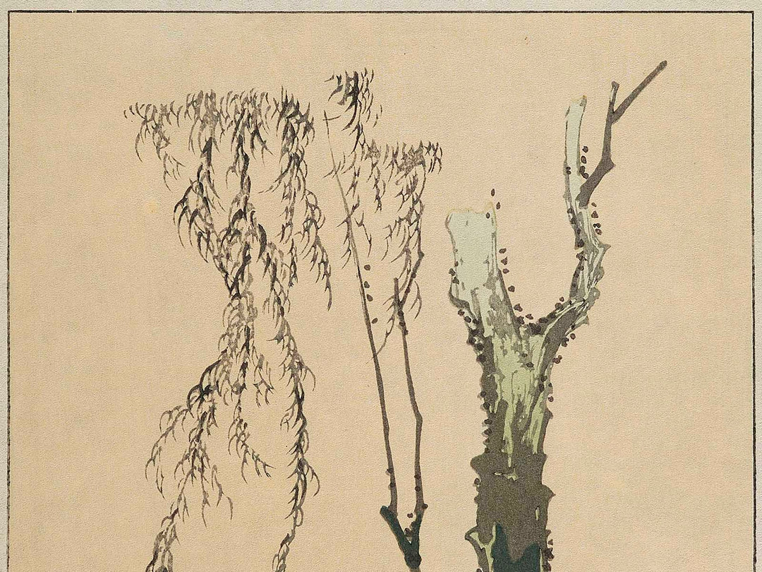 A beautiful woman standing beside the willow by Katsushika Hokusai, (Large print size) / BJ327-593