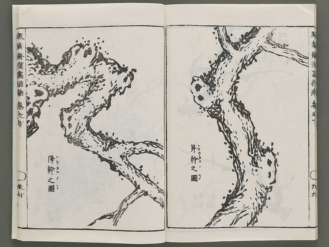 Kanga shinan Kon (Part 2 of 2) by Takebe Ayatari / BJ335-846