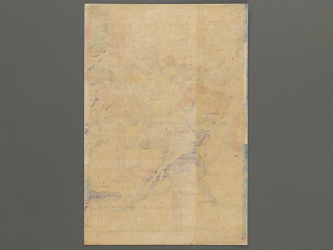 Kagoshima senki by Hayakawa Shozan / BJ343-455