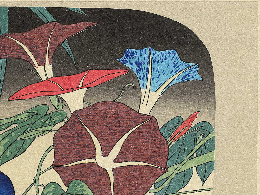 Asagao from the series Shiki no hanazukushi by Utagawa Hiroshige, (Medium print size) / BJ330-547
