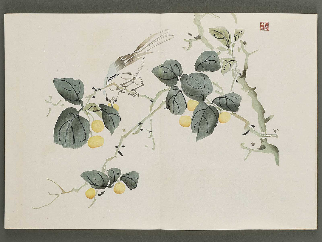 Kajo shugacho Volume 4 by Matsuda Kajo / BJ333-508