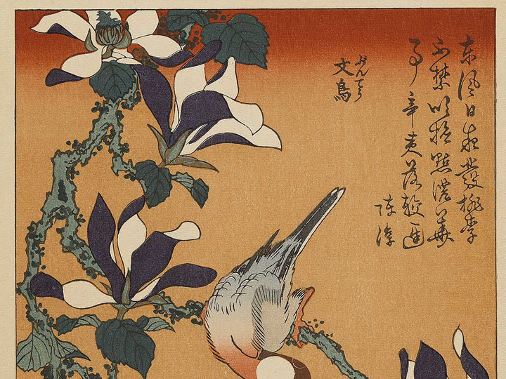 Buncho kobushi no hana by Katsushika Hokusai, (Large print size) / BJ336-119