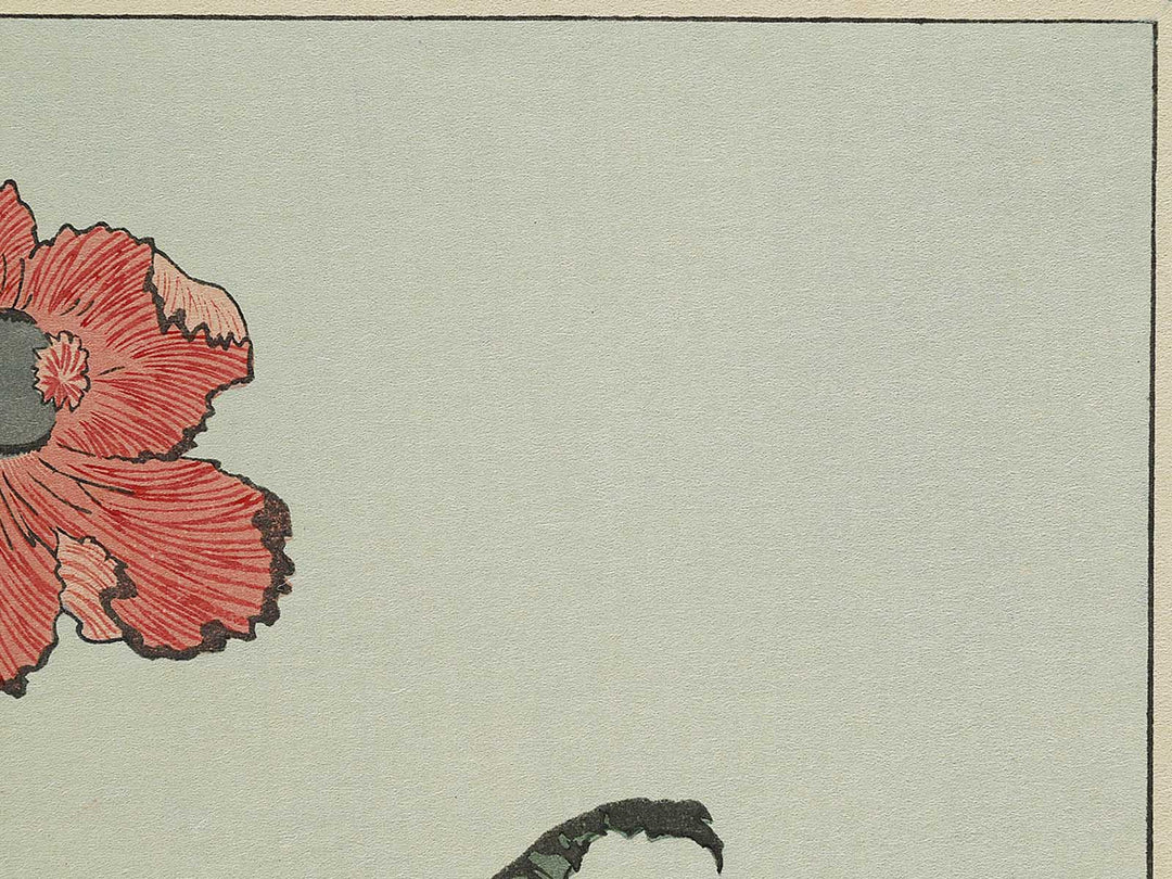 A poppy by Katsushika Hokusai, (Medium print size) / BJ327-334