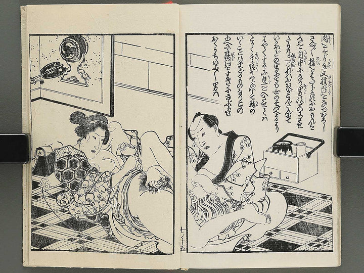 Insho kaiko ki Volume 7 by Utagawa Yoshikazu / BJ345-793
