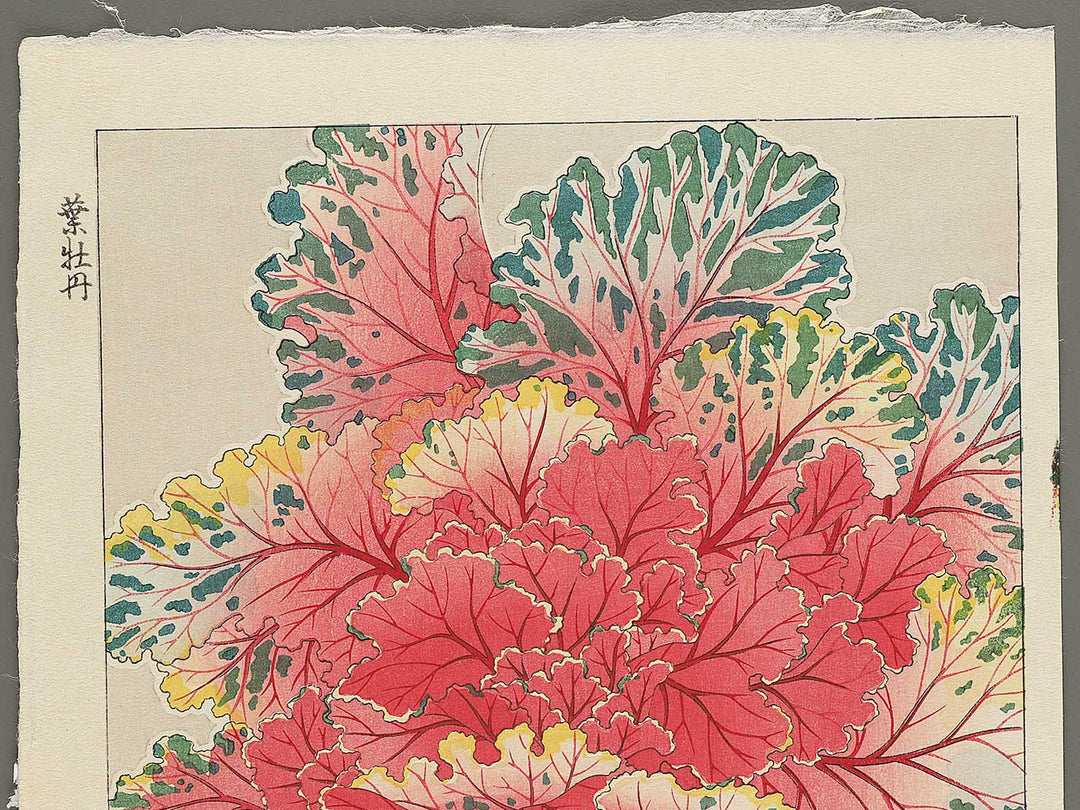 Habotan by Kawarazaki Shodo, (Large print size) / BJ346-269