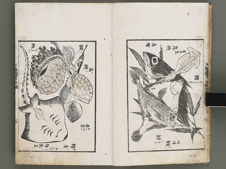 Banshoku zuko Volume 5 by Katsushika Hokusai / BJ326-116