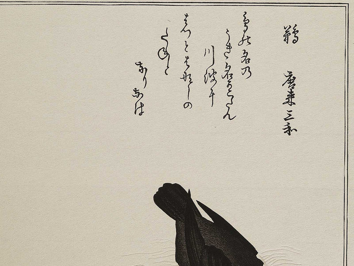 Cormorant and Heron from the series Momochidori kyoka awase by Kitagawa Utamaro, (Large print size) / BJ328-041