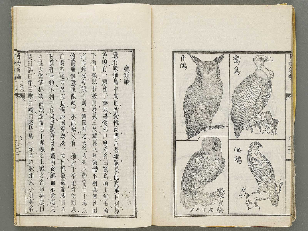 Hakubutsu Shinpen Volume 3 / BJ330-869