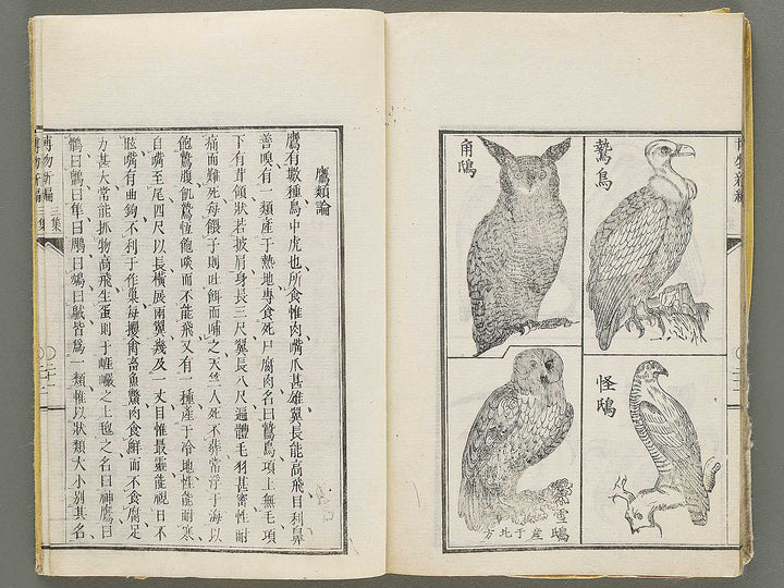 Hakubutsu Shinpen Volume 3 / BJ330-869