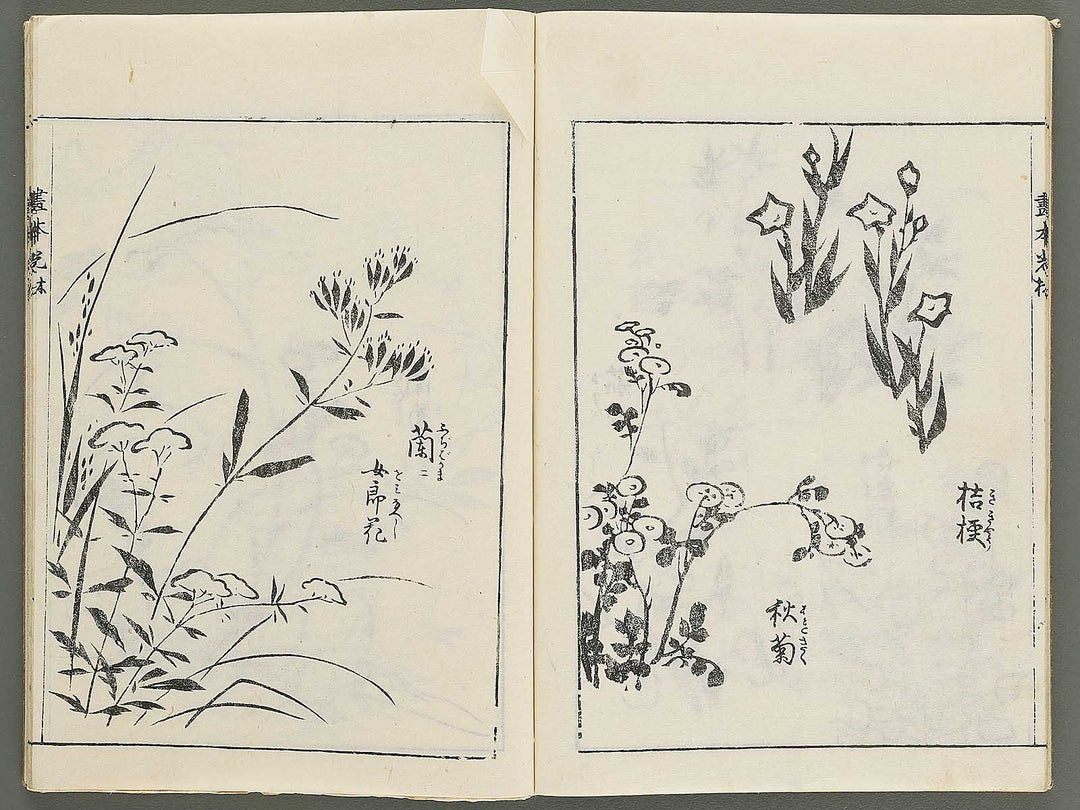 Korin michishirube by Nonomura Chube / BJ351-127