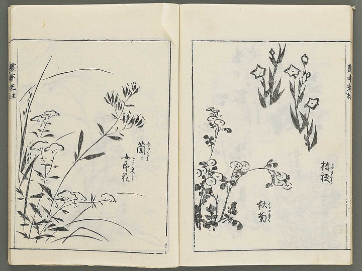 Korin michishirube by Nonomura Chube / BJ351-127