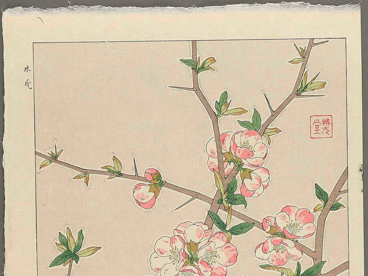 Boke by Kawarazaki Shodo, (Large print size) / BJ346-255