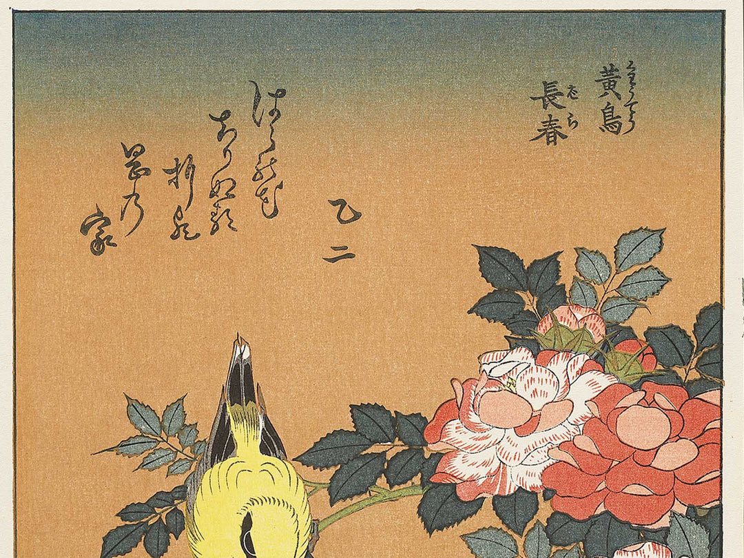 Kocho bara by Katsushika Hokusai, (Large print size) / BJ331-660