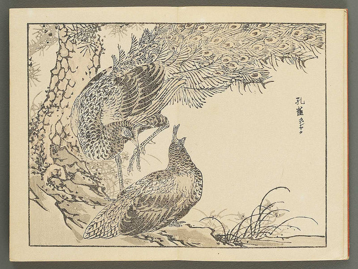 Bairei gafu (Kacho no bu) by Kono Bairei / BJ351-113