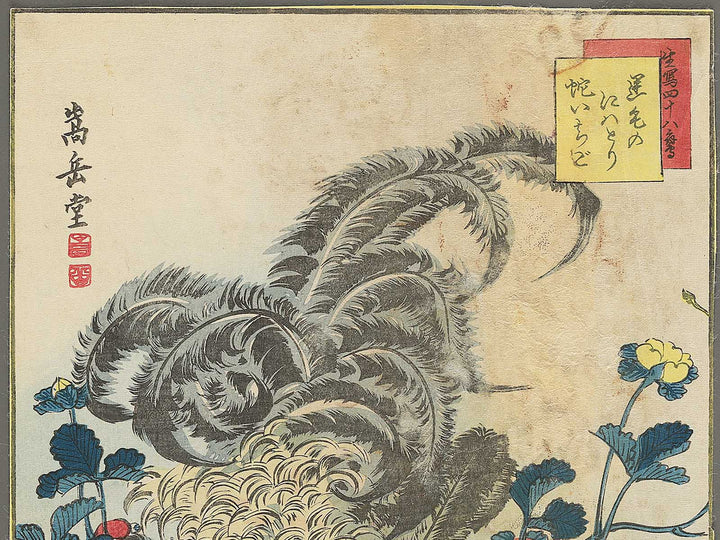 Sakage no niwatori Hebiichigo from the series Sho utsushi  shijuhattaka by Sugakudo / BJ343-518