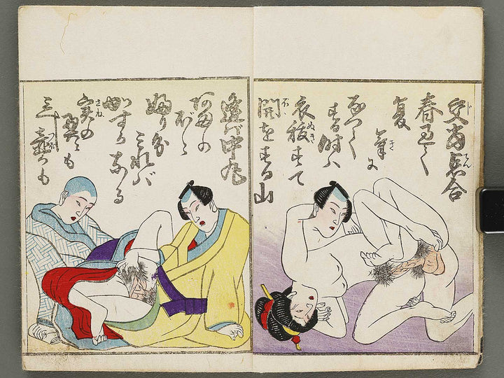 Shunga / BJ310-849