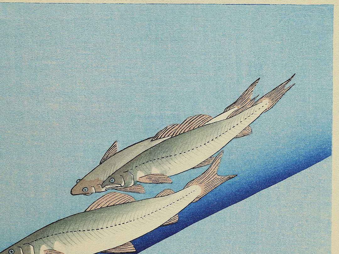 Ayu from the series the series FISH by Utagawa Hiroshige, (Medium print size) / BJ330-554