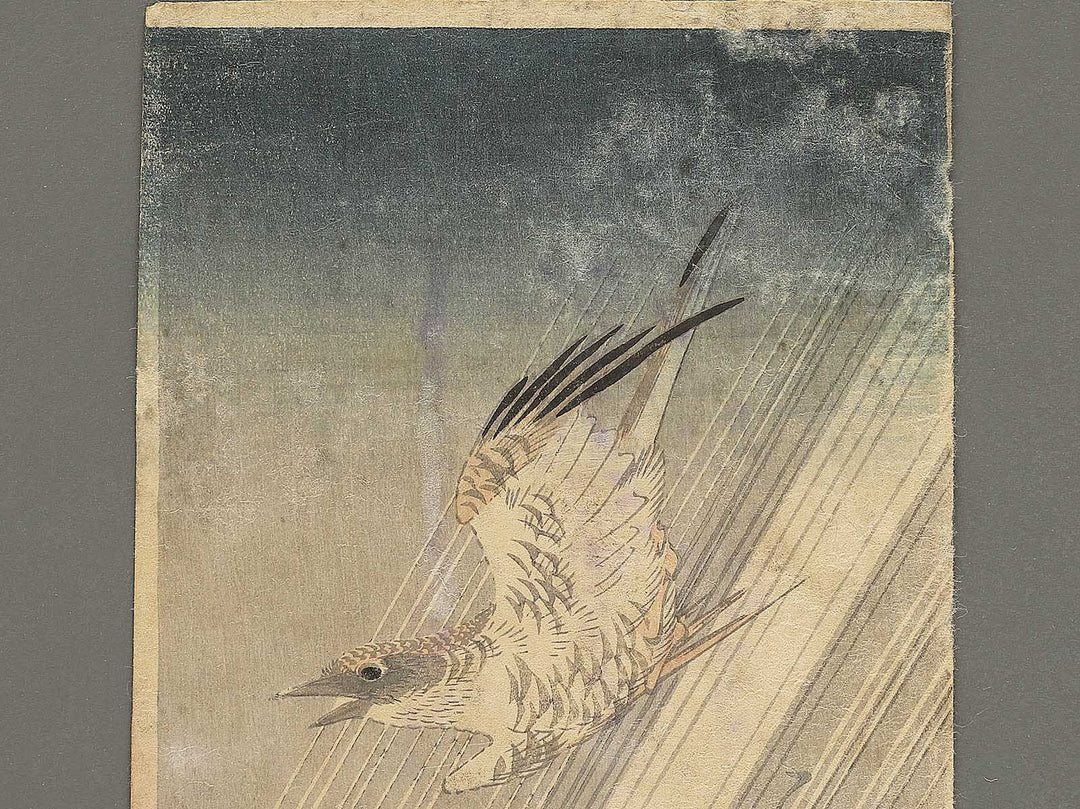 Ame no naka wo tobu Hototogisu (The original title is unknown.) / BJ353-465