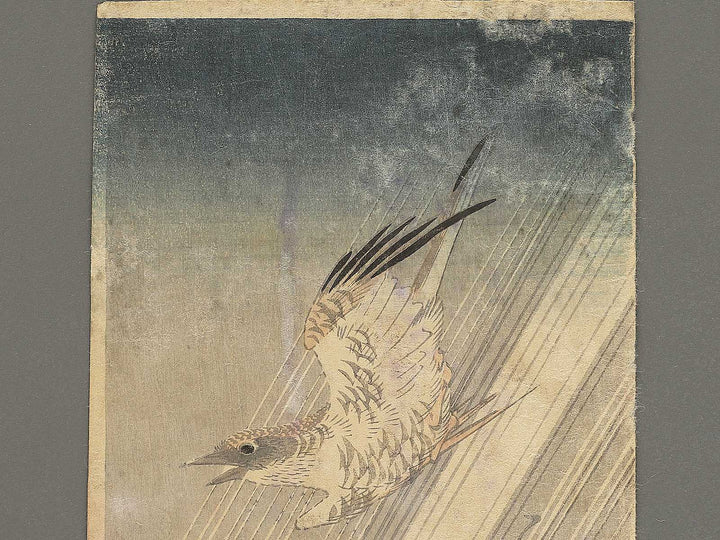 Ame no naka wo tobu Hototogisu (The original title is unknown.) / BJ353-465