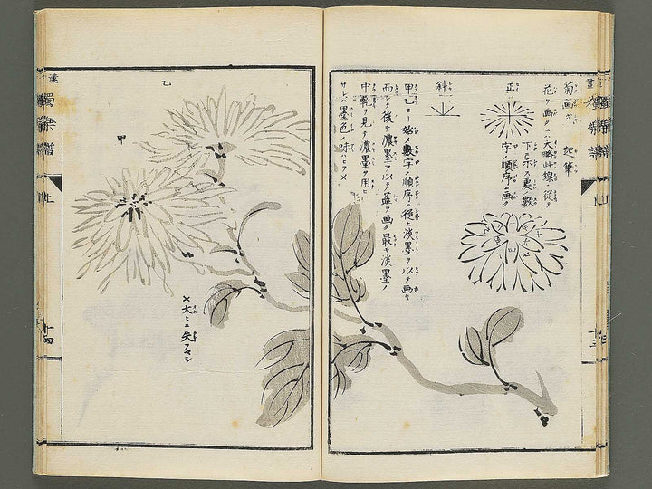 Kanga dokugakufu (Jo) by Matsuoka Masamori / BJ345-156