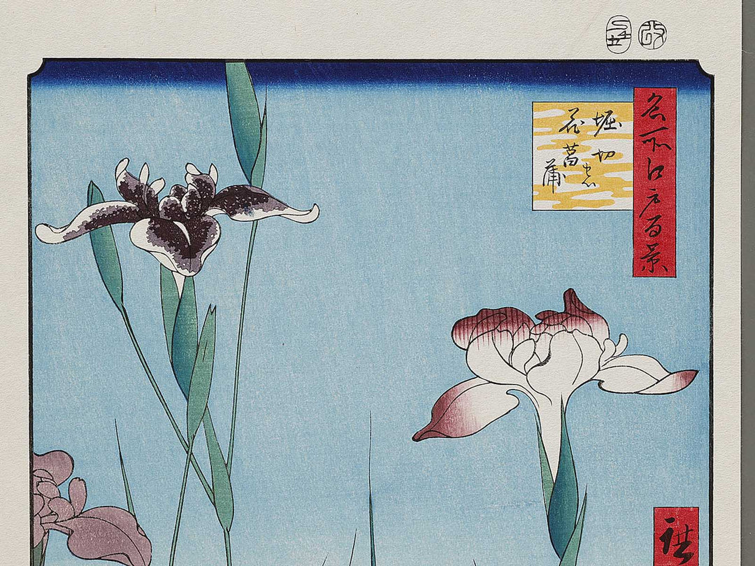 Horikiri Iris Garden from the series One Hundred Famous Views of Edo by Utagawa Hiroshige, (Large print size) / BJ331-541