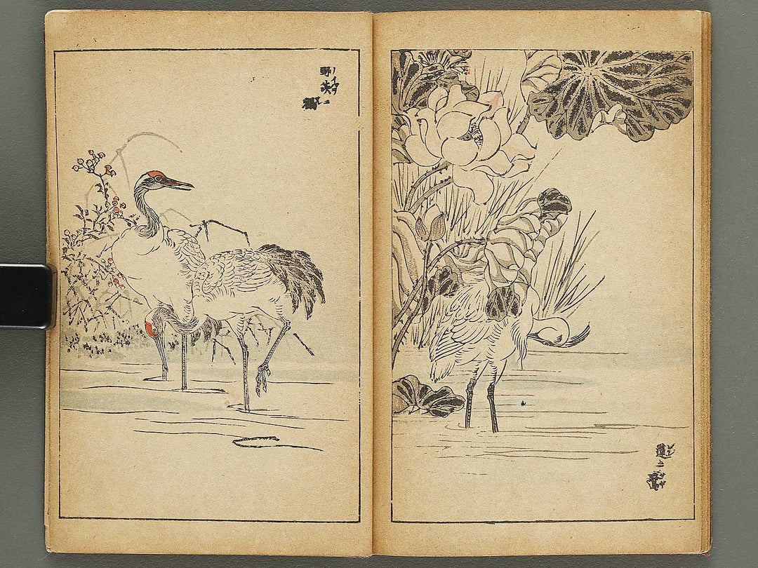 Kacho gafu by Adachi Ginko / BJ333-438