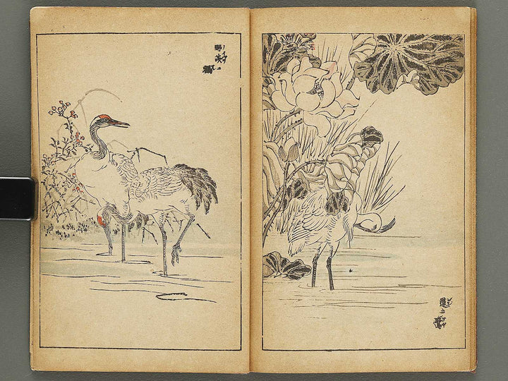 Kacho gafu by Adachi Ginko / BJ333-438