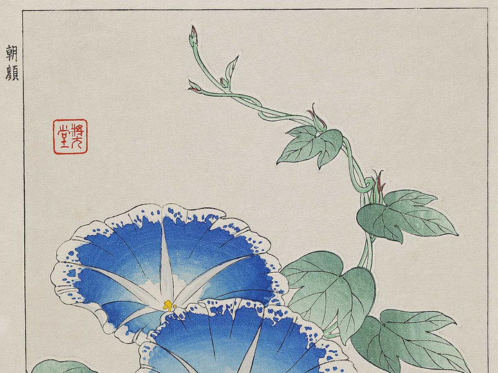 Asagao by Kawarazaki Shodo, (Large print size) / BJ331-338