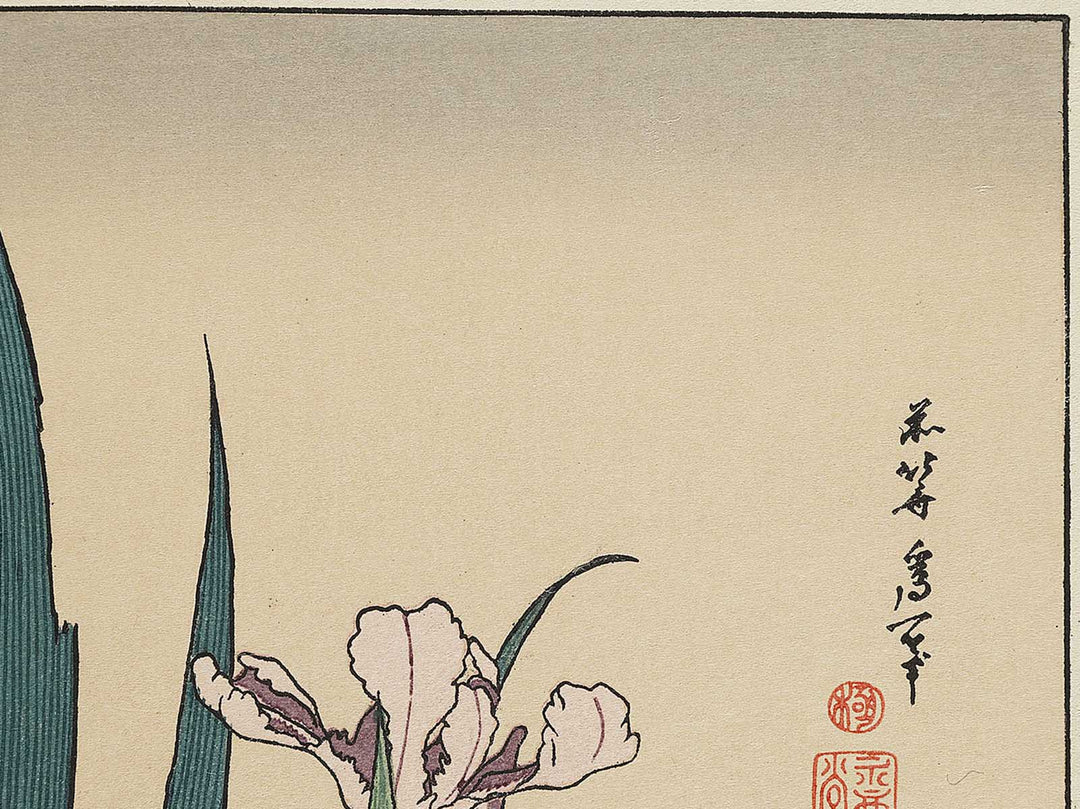 Iris and Grasshopper by Katsushika Hokusai, (Medium print size) / BJ327-432
