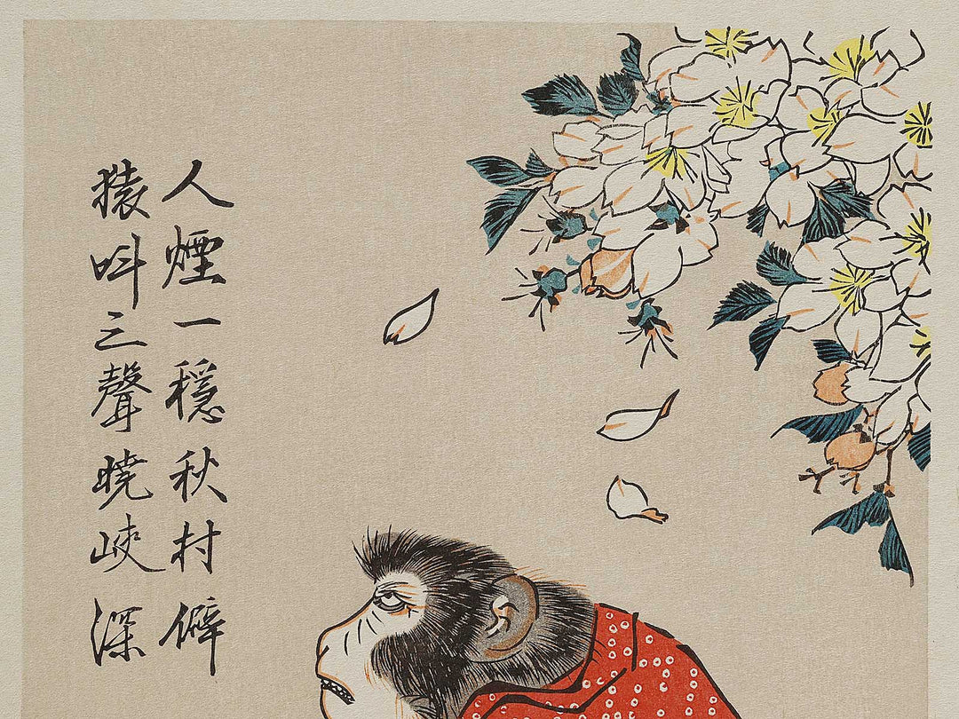 Sakura ni Saru by Utagawa Hiroshige, (Medium print size) / BJ328-167