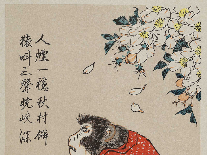 Sakura ni Saru by Utagawa Hiroshige, (Medium print size) / BJ328-167