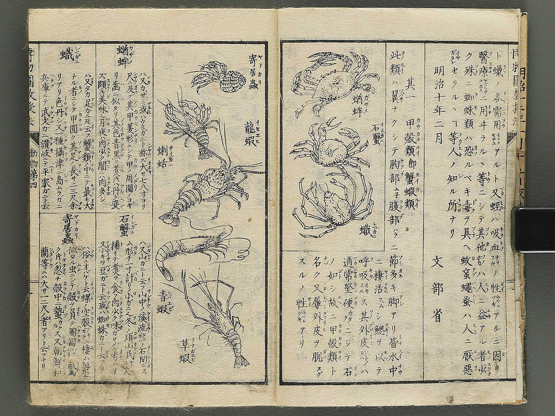 Hakubutsu kyojyuho Volume 4-5 by           / BJ344-729