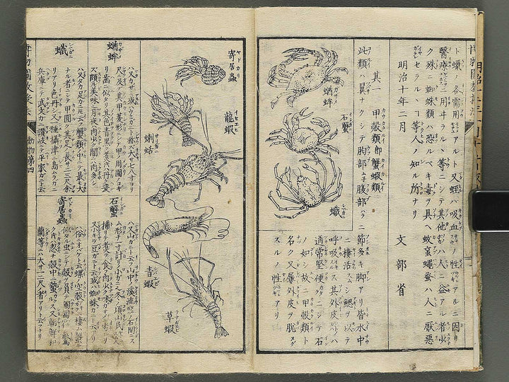 Hakubutsu kyojyuho Volume 4-5 by           / BJ344-729