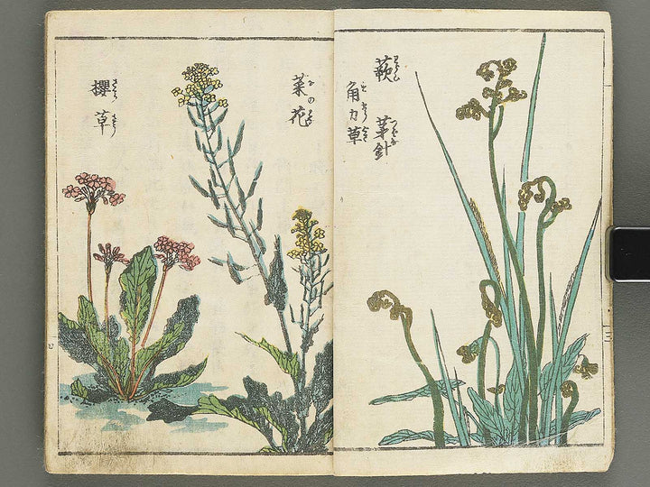 Soka e tehon by Keisai Eisen / BJ348-040