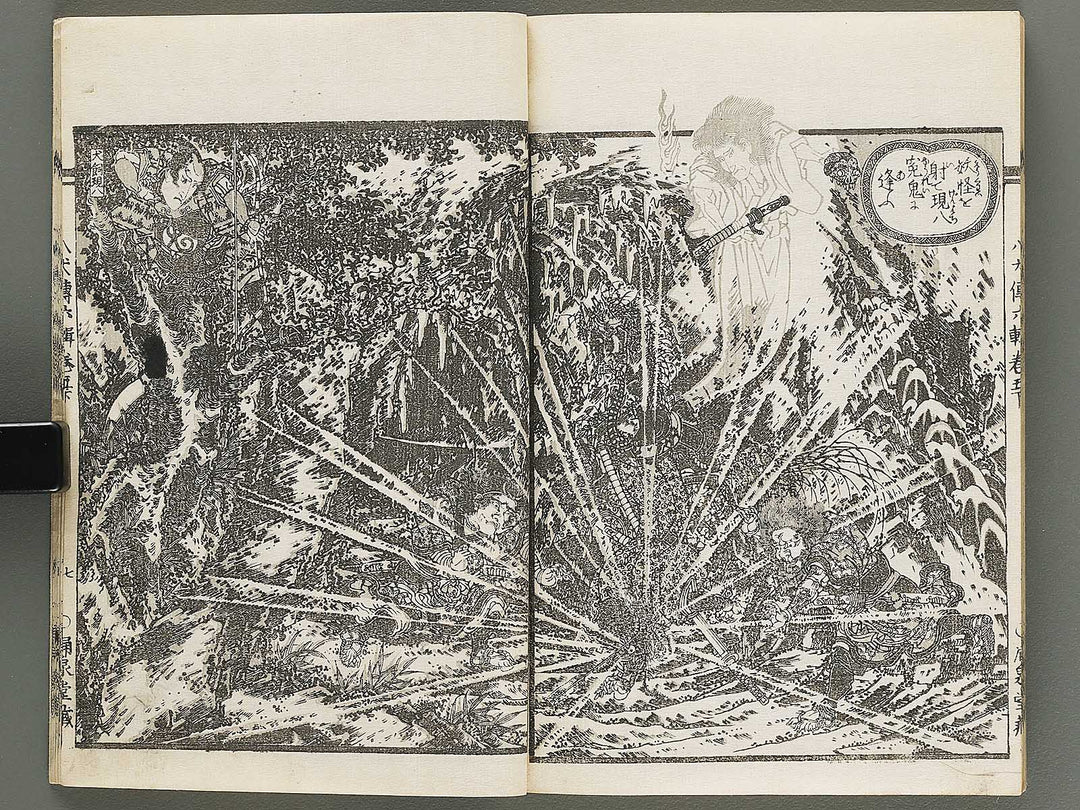 Nanso satomi hakkenden Volume 6 by Keisai Eisen, Yanagawa Shigenobu / BJ316-253