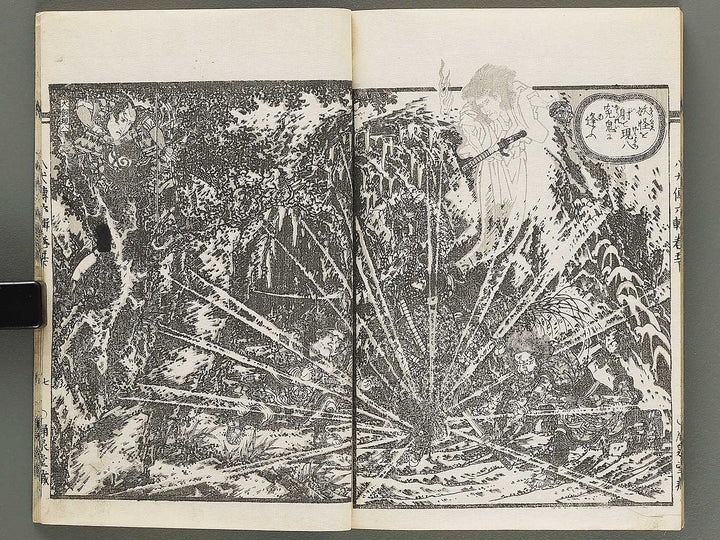 Nanso satomi hakkenden Volume 6 by Keisai Eisen, Yanagawa Shigenobu / BJ316-253