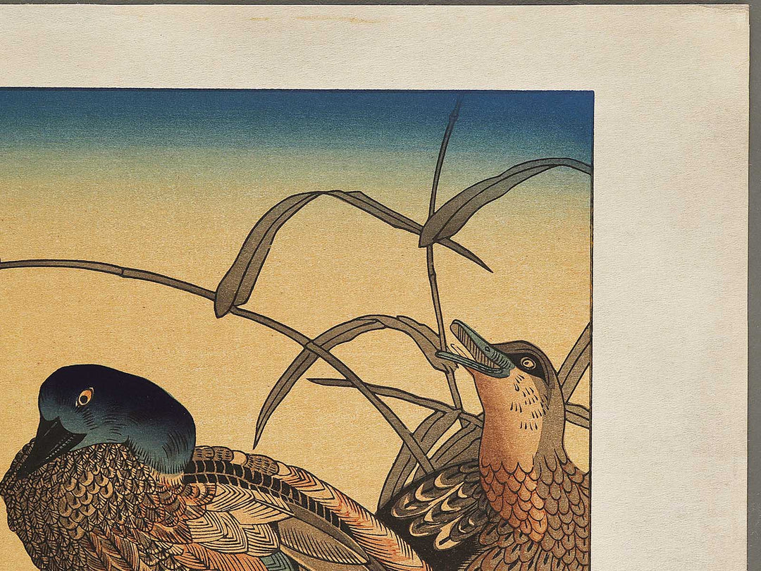 Duck and Kingfisher from the series Momotidori kyoka awase by Kitagawa Utamaro, (Large print size) / BJ328-349