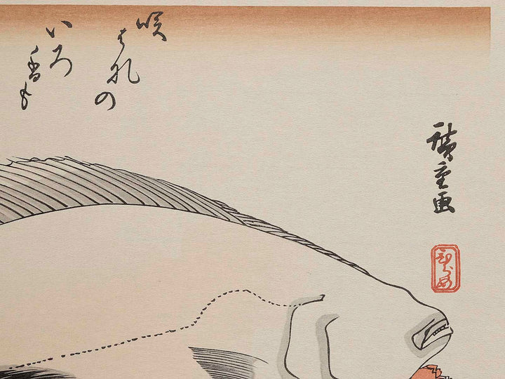 Halibut, Rockfish & Cherry Blossoms from the series the series FISH by Utagawa Hiroshige, (Large print size) / BJ237-664
