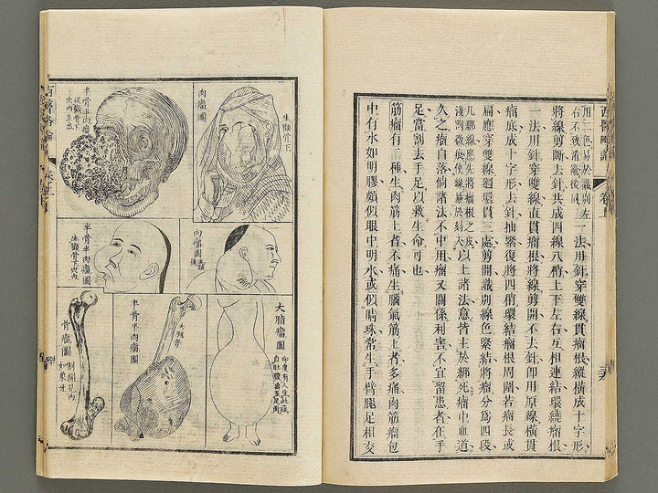 Seii ryakuron (Jo) / BJ326-312