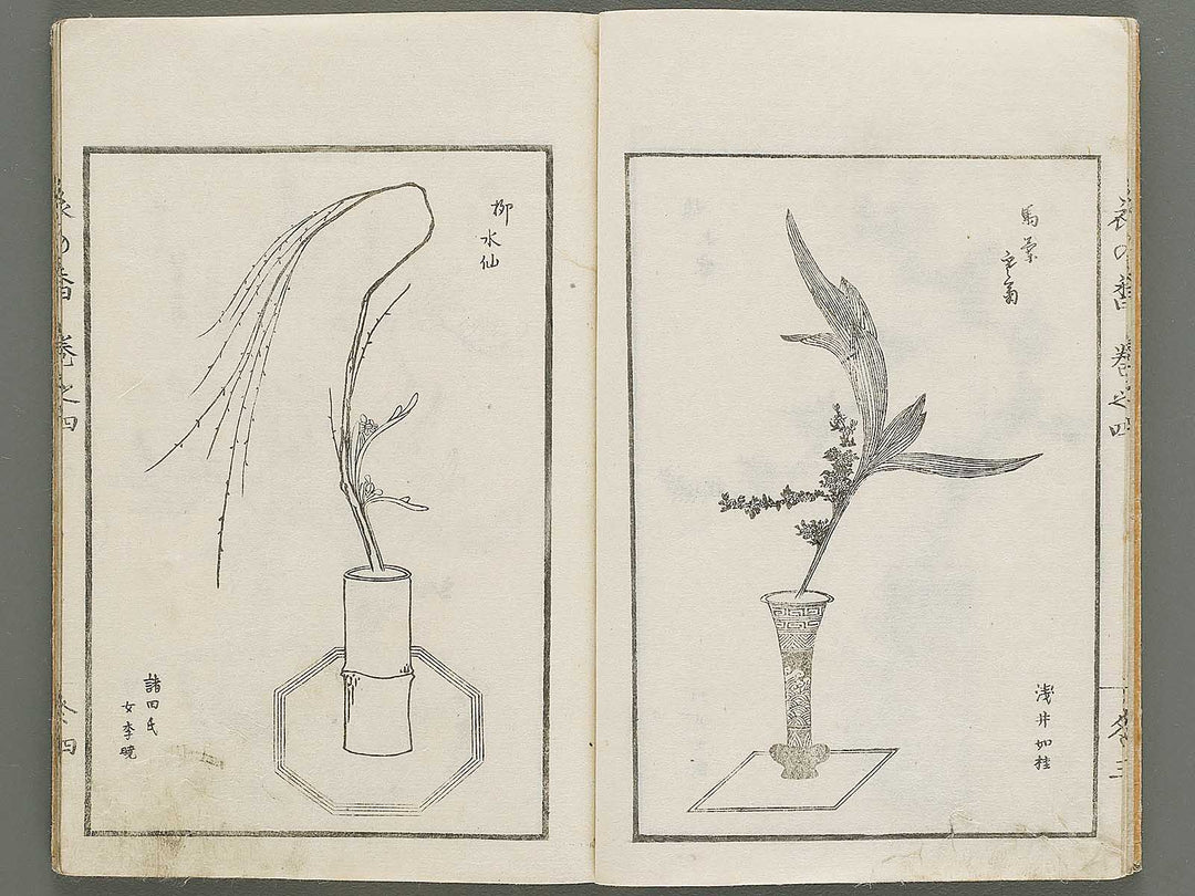 Soka koromonoka Volume 4 by Hishikawa Sori / BJ335-188