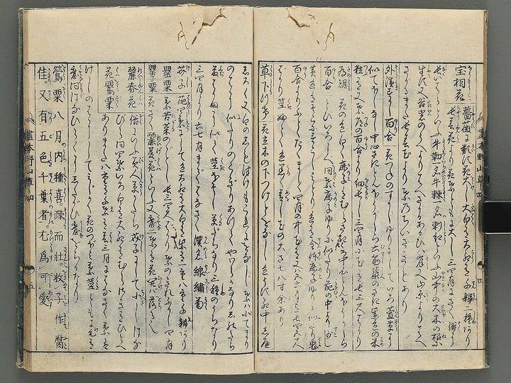 Gahon noyama gusa Volume 4 / BJ346-332