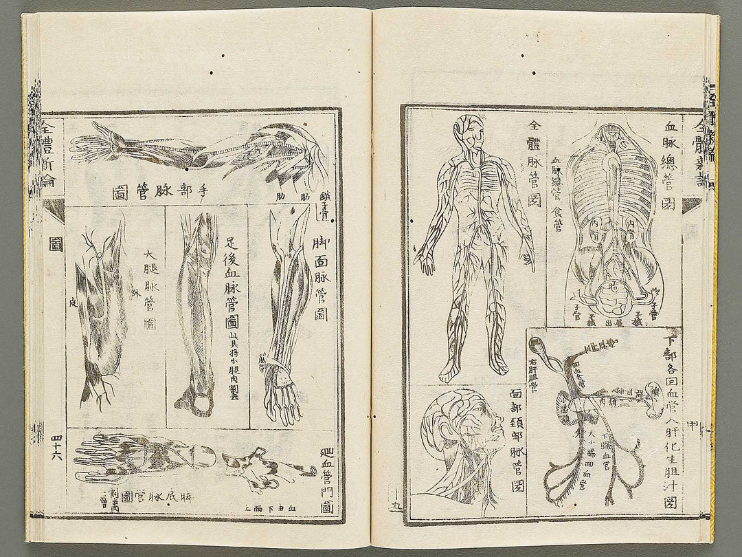 Zentai shinron Kon (Part 2 of 2) / BJ325-353