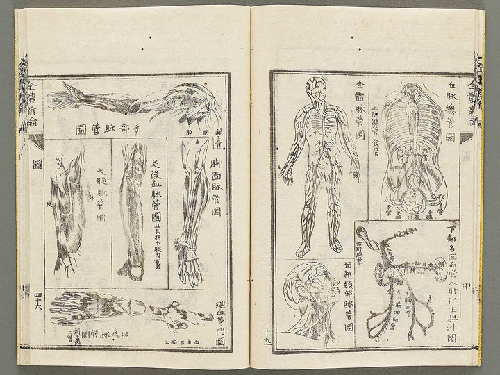 Zentai shinron Kon (Part 2 of 2) / BJ325-353