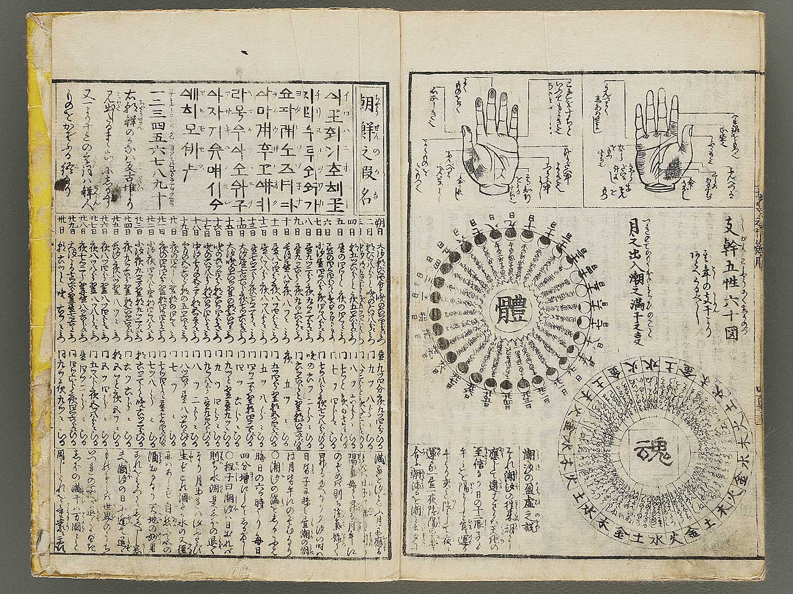 Shinsen dainihon eitai setsuyo mujinzo by Matsukawa Hanzan