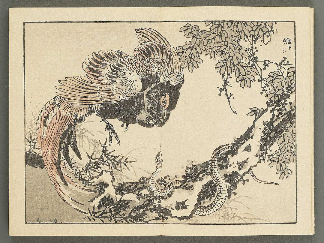 Bairei gafu (Kacho no bu) by Kono Bairei / BJ351-106