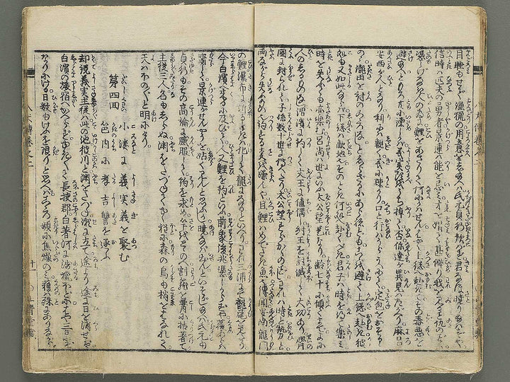 Nanso satomi hakkenden Volume 2 by Yanagawa Shigenobu / BJ347-158