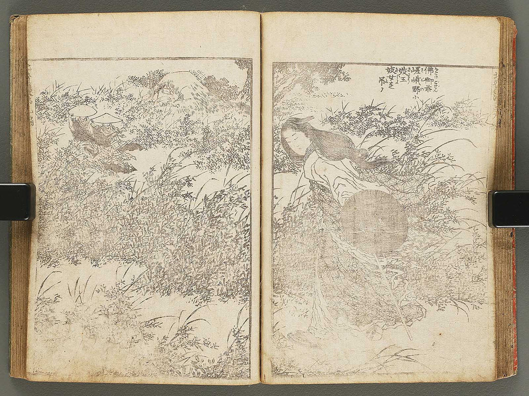 Hokusai manga Volume 9 by Katsushika Hokusai / BJ292-180